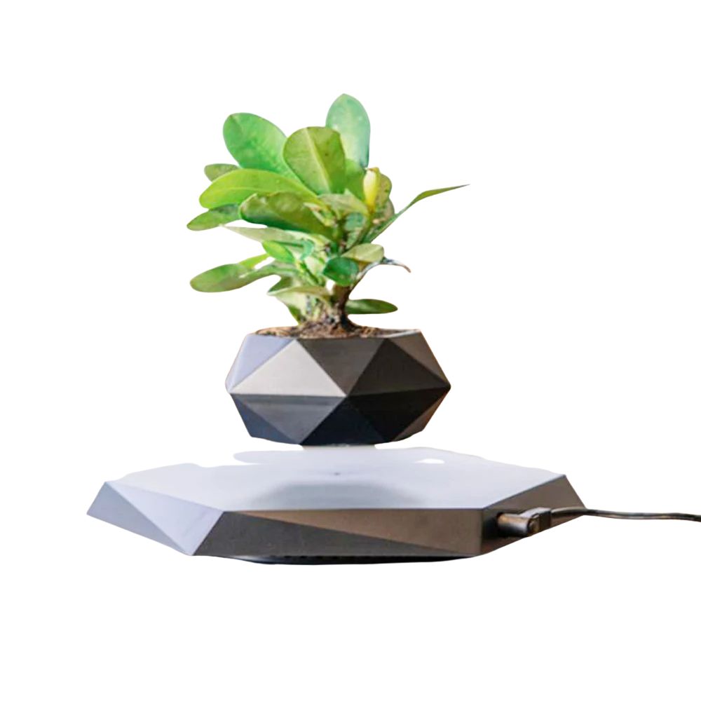 Levitating Bonsai Pot