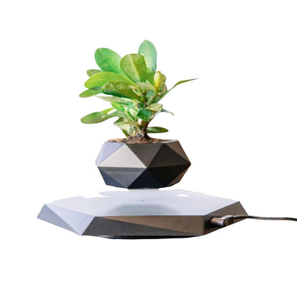 Levitating Bonsai Pot