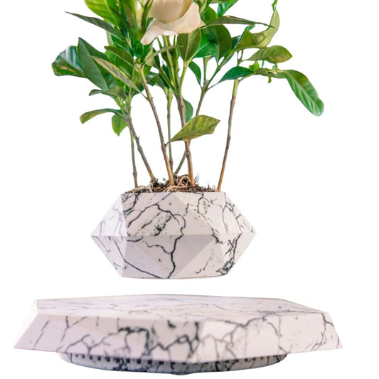 Levitating Bonsai Pot