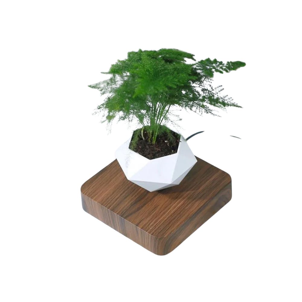 Levitating Bonsai Pot