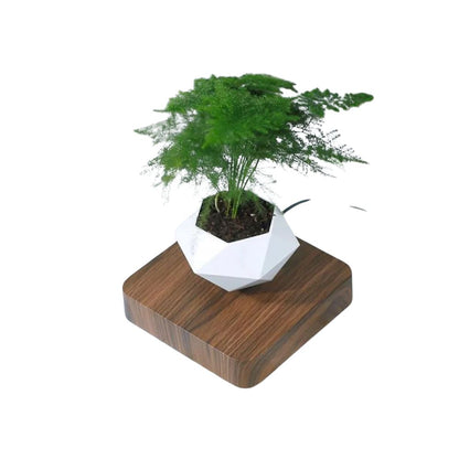 Levitating Bonsai Pot